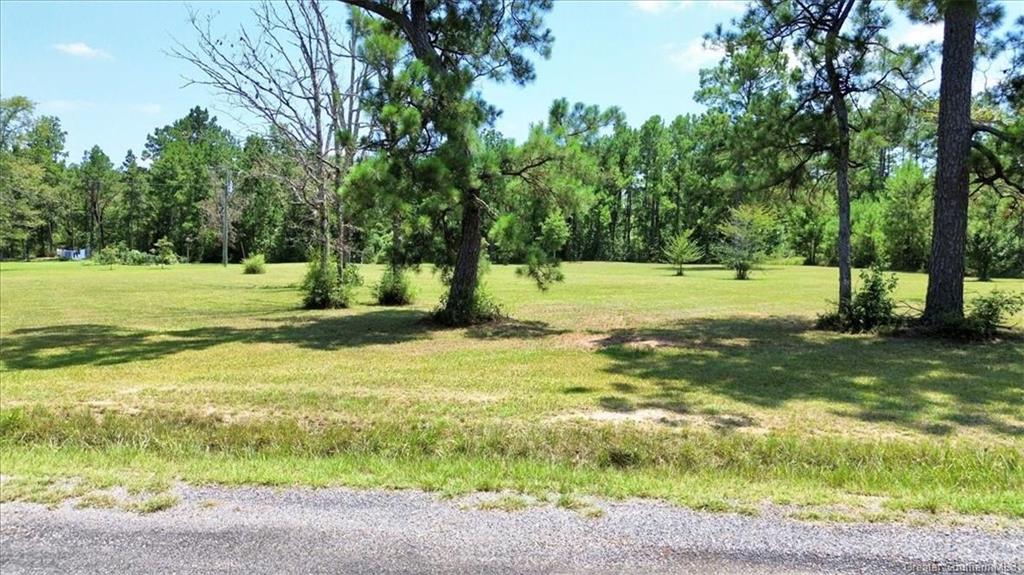 0 Dartez Road Longville, LA 70652 - Photo 2 of 9 Gallery Image 2