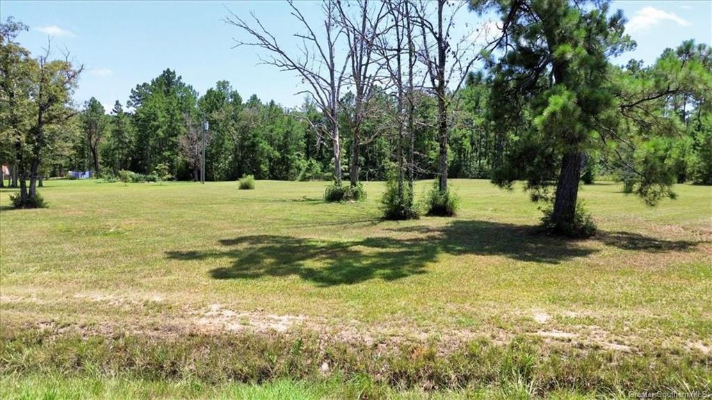 0 Dartez Road Longville, LA 70652 - Photo 3 of 9 Gallery Image 3
