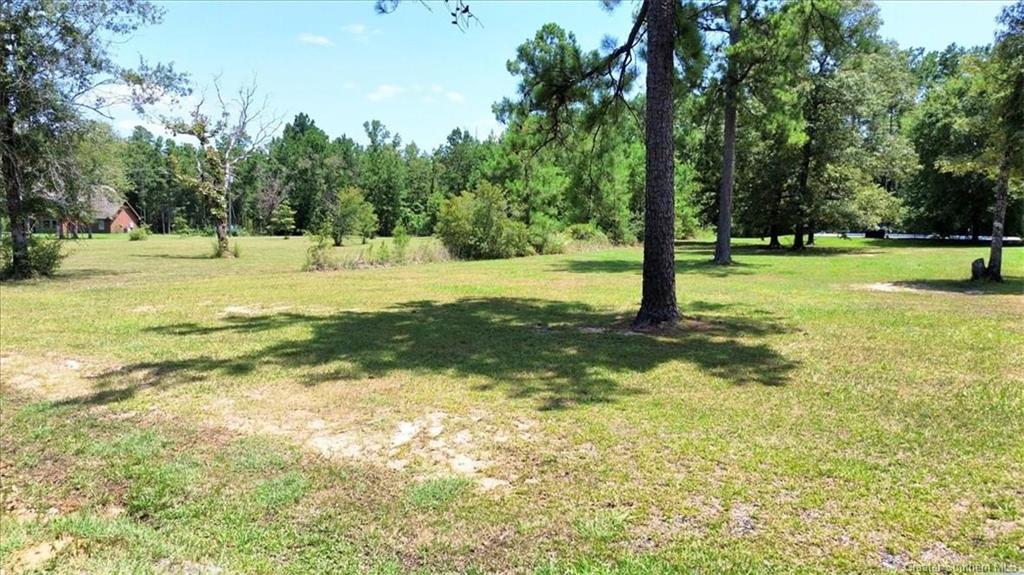 0 Dartez Road Longville, LA 70652 - Photo 4 of 9 Gallery Image 4