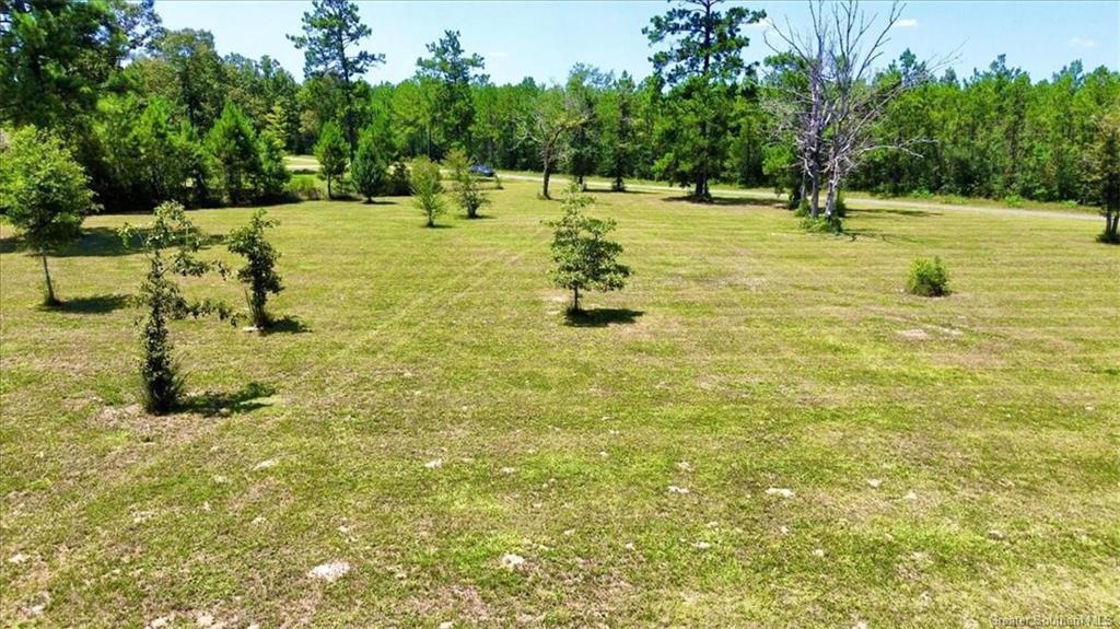 0 Dartez Road Longville, LA 70652 - Photo 6 of 9 Gallery Image 6