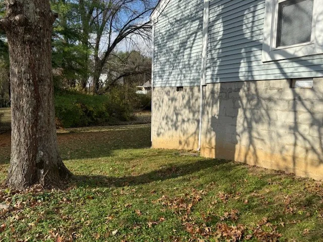 a view of pathway both side of building