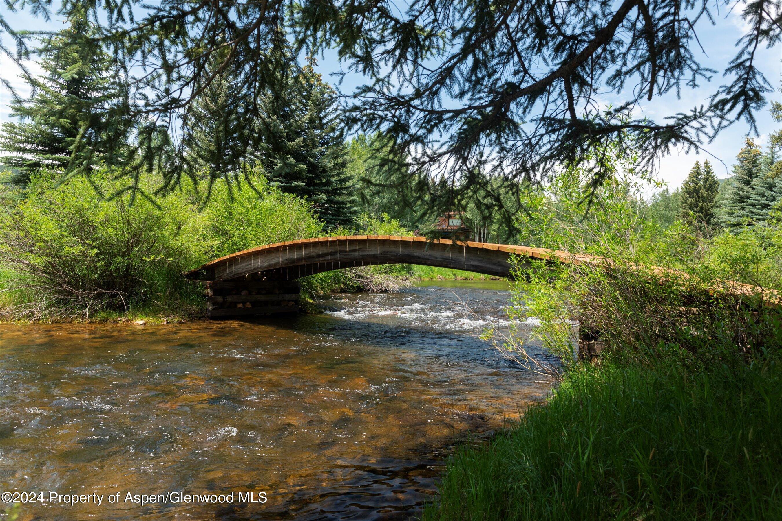 1449 Crystal Lake Road Aspen, CO 81611 - Photo 4 of 82 a view of outdoor space and garden