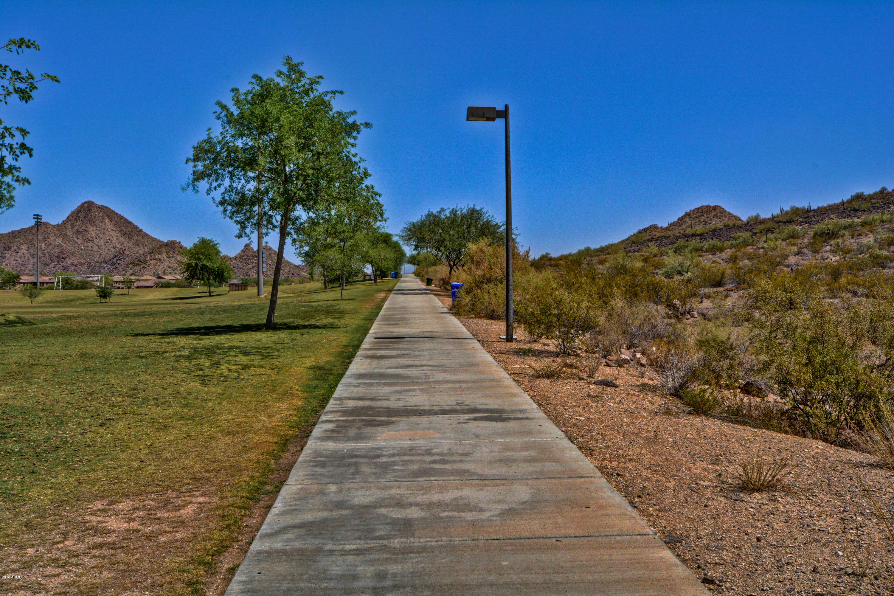5516 West Parsons Road Phoenix, AZ 85083 - Photo 49 of 57 Parsons (61)