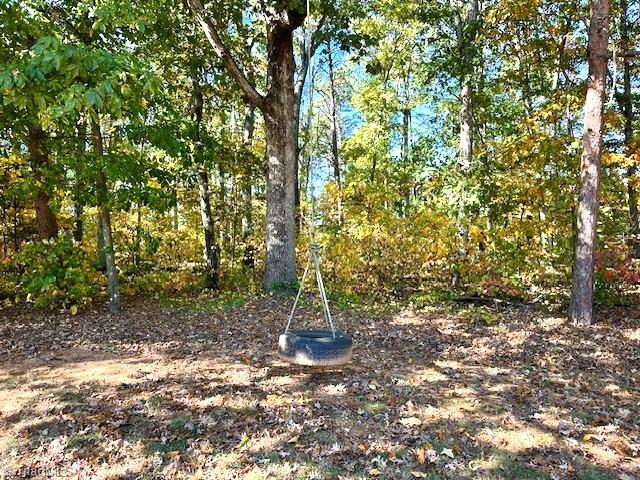 8450 Red Road Rockwell, NC 28138 - Photo 48 of 49 "Life Is Just A Tire Swing" ~ Jimmy Buffett