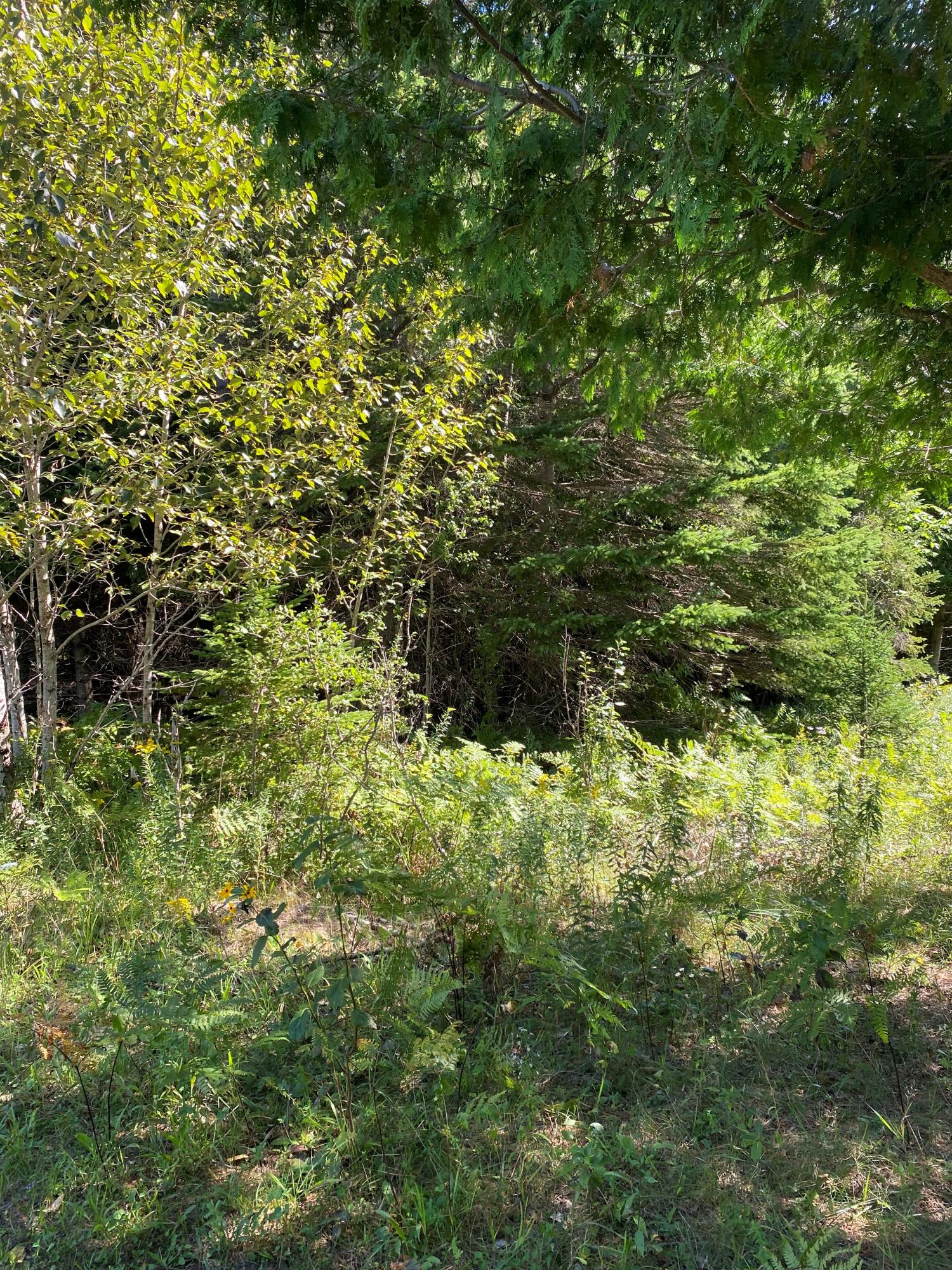 W16496 Mcconnel Road Curtis, MI 49820 - Photo 25 of 33 Gallery Image 25