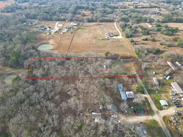 a close up of a tree