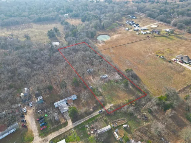a view of a tree in a yard