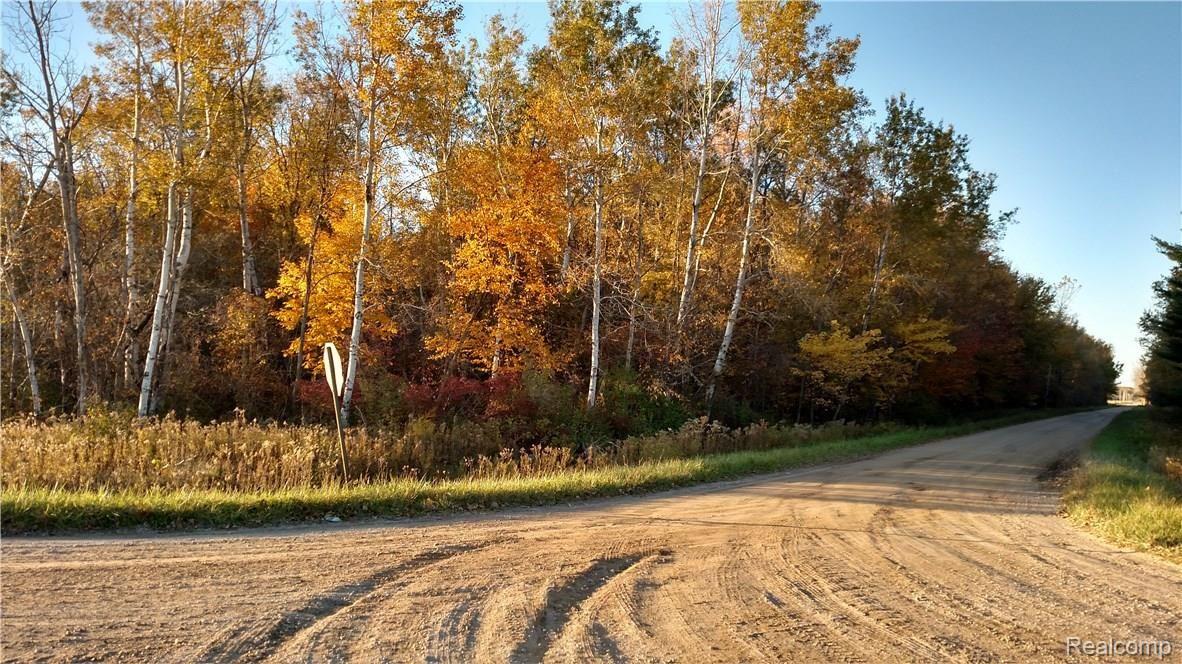 0 Marlette Road Applegate, MI 48401 - Photo 1 of 4 This is a view of the property.