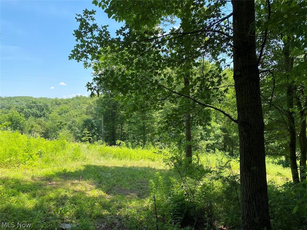 Hoover Road Waterford, OH 45786 - Photo 11 of 15