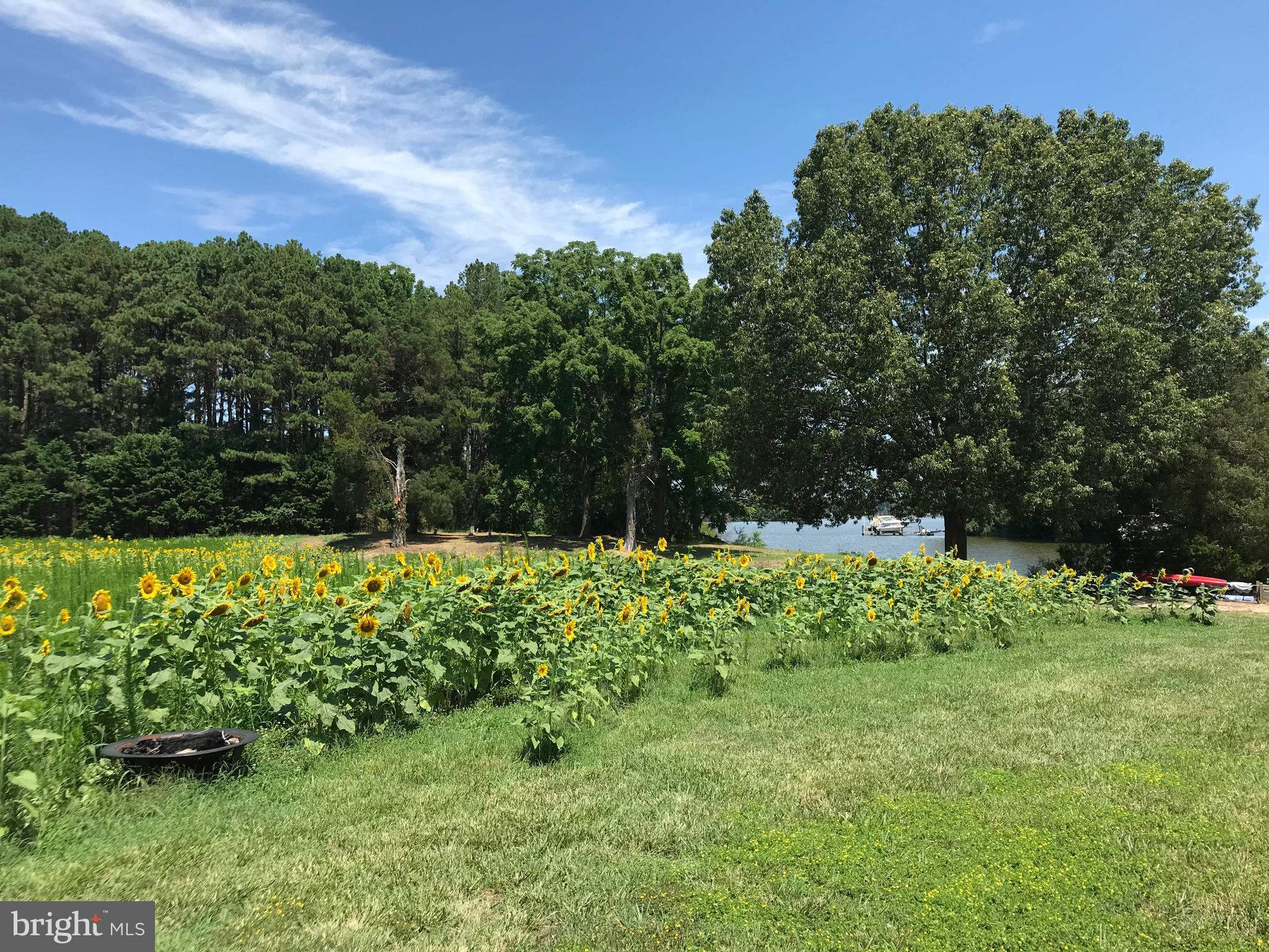 Baildon Road Trappe, MD 21673 - Photo 2 of 4 Gallery Image 2