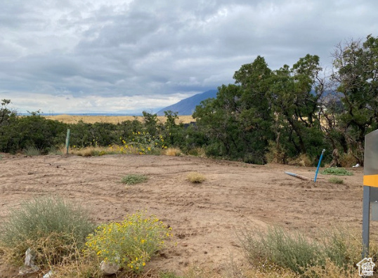 289 South Mapleton Ests Drive, Unit 97 Mapleton, UT 84664 - Photo 1 of 2 View of yard with a mountain view