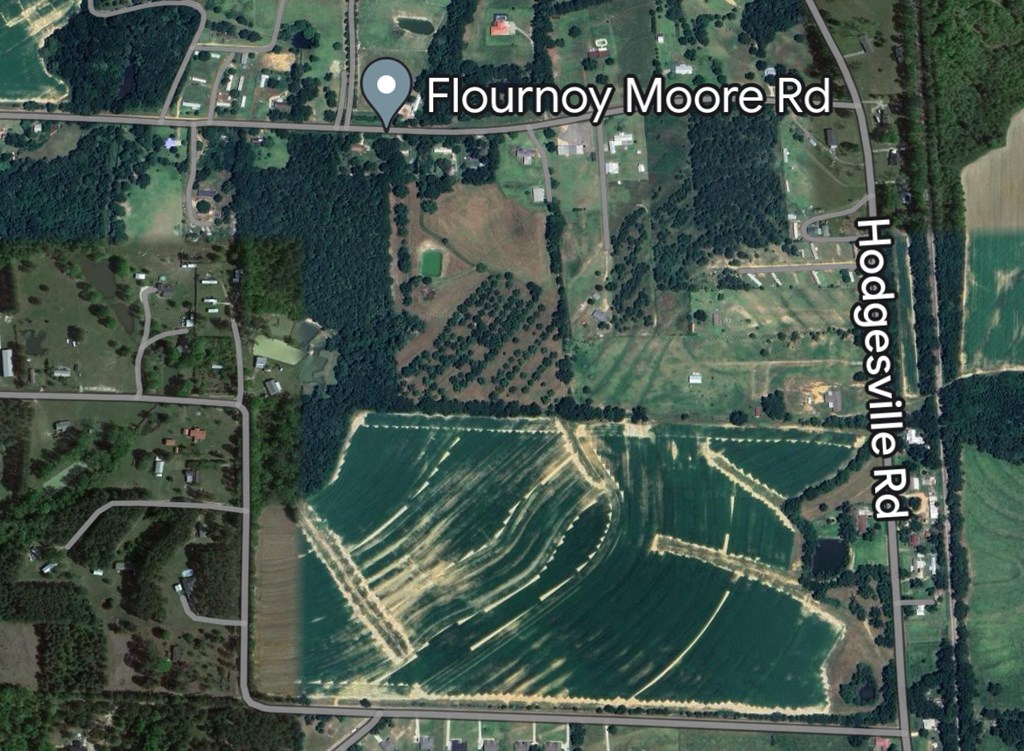 0 Flournoy Moore Road Dothan, AL 36301 - Photo 2 of 3