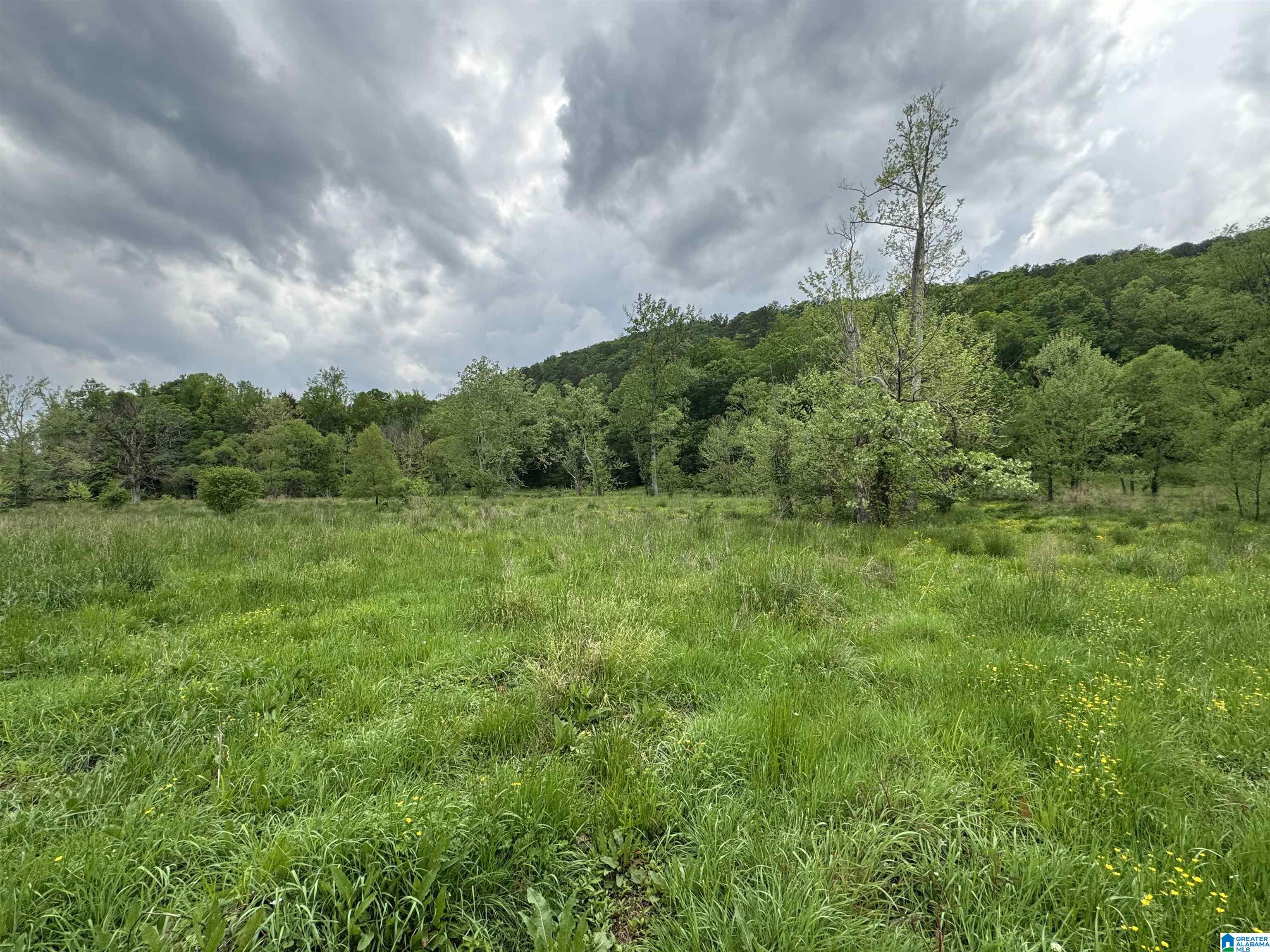 1045 A Sand Valley Road Remlap, AL 35133 - Photo 48 of 70