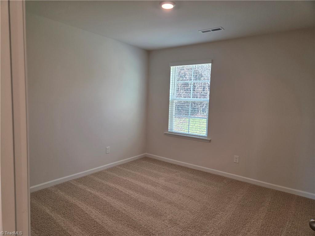 170 Chessie Road Mocksville, NC 27028 - Photo 17 of 24 Gallery Image 17