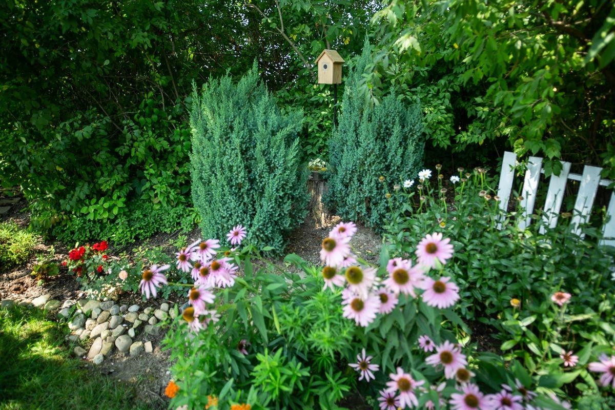 Photo 6