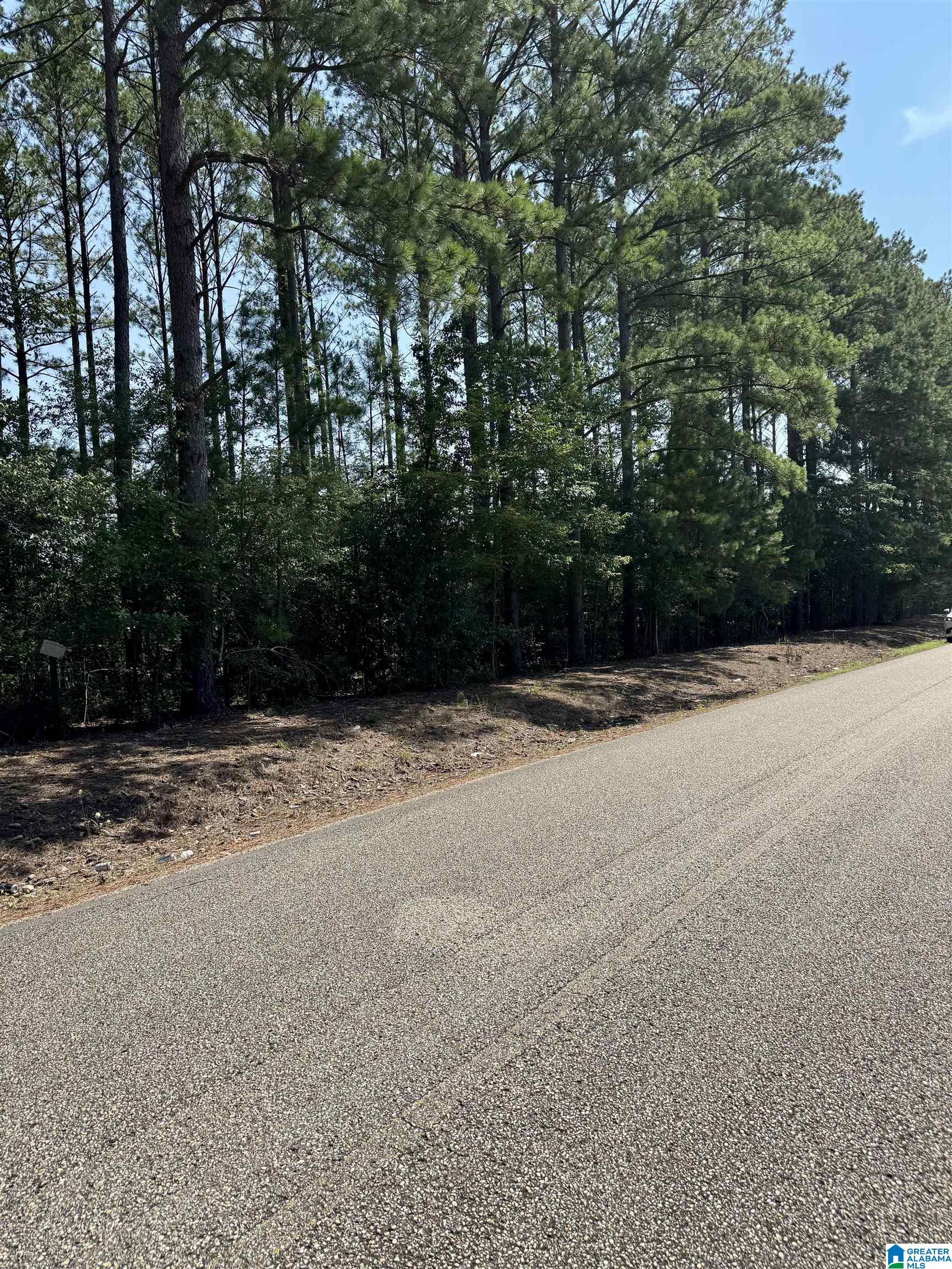 0 Center Hill Road Sylacauga, AL 35150 - Photo 1 of 4
