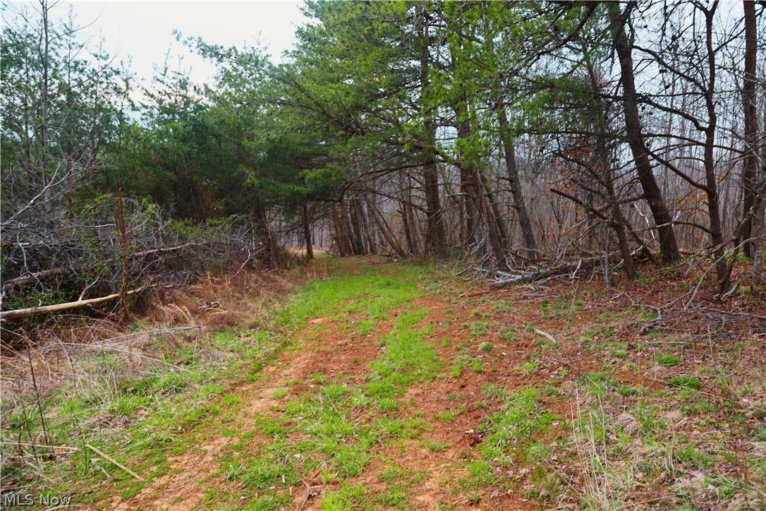 Brimstone Road Coolville, OH 45723 - Photo 4 of 29