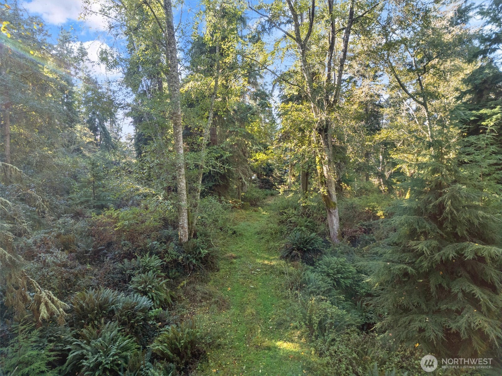 4530 South Smugglers Cove Road Freeland, WA 98249 - Photo 11 of 17 Gallery Image 11