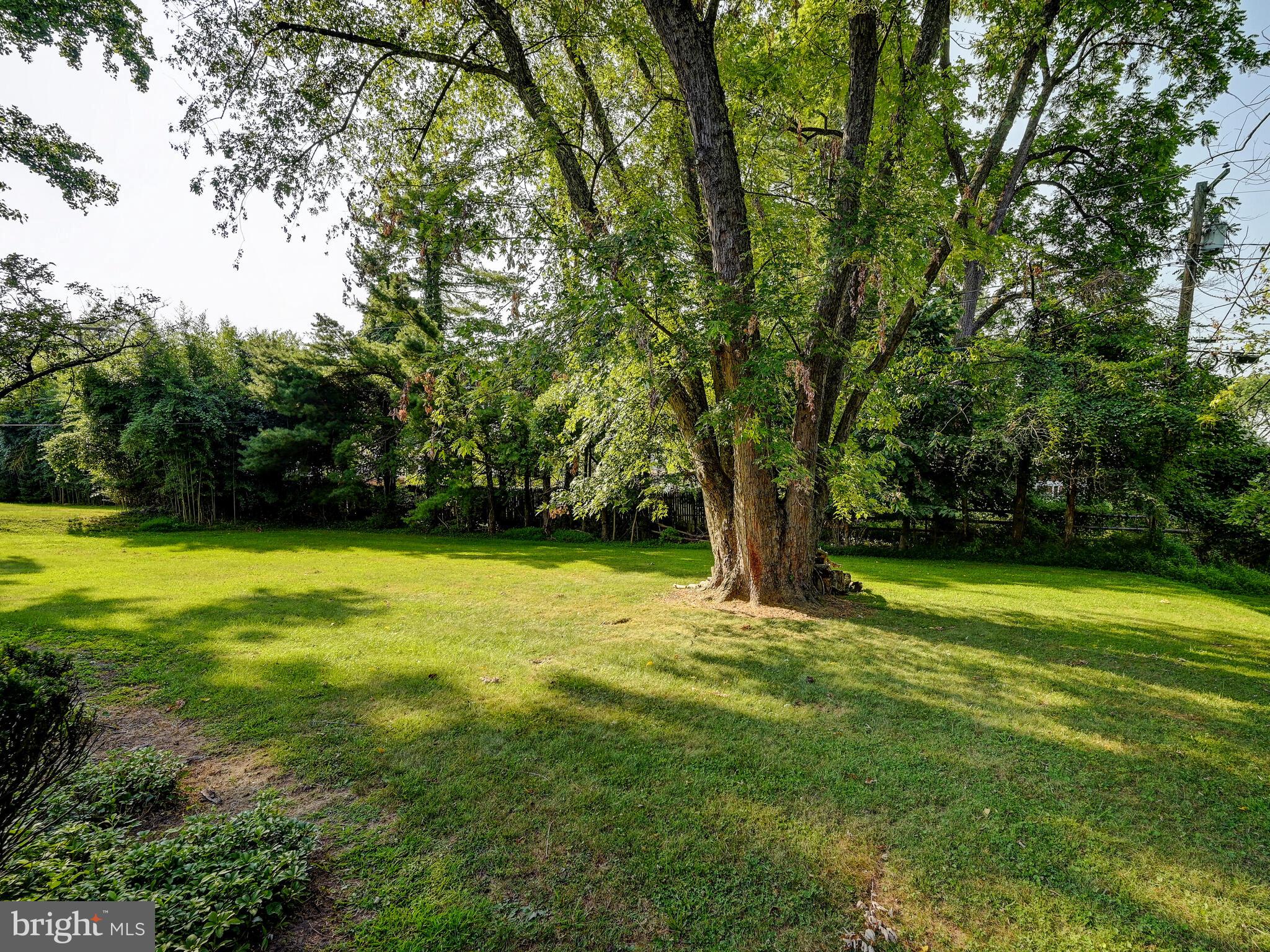 3420 Garrison Farms Road Baltimore, MD 21208 - Photo 37 of 45 Gorgeous Yard!