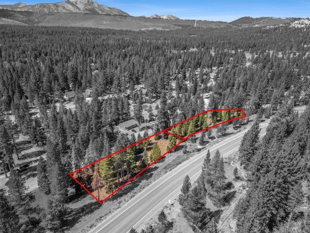 a view of a pathway with a flower garden