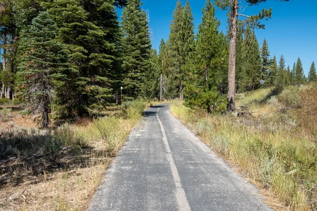 a view of flowing water with large trees