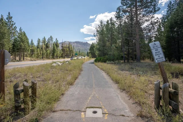 a view of a yard with trees