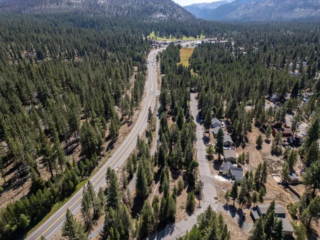 a view of a city with lush green forest