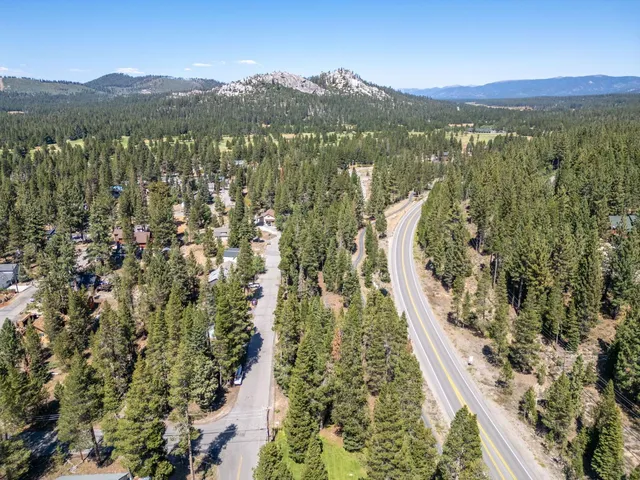 a view of a city with lush green forest