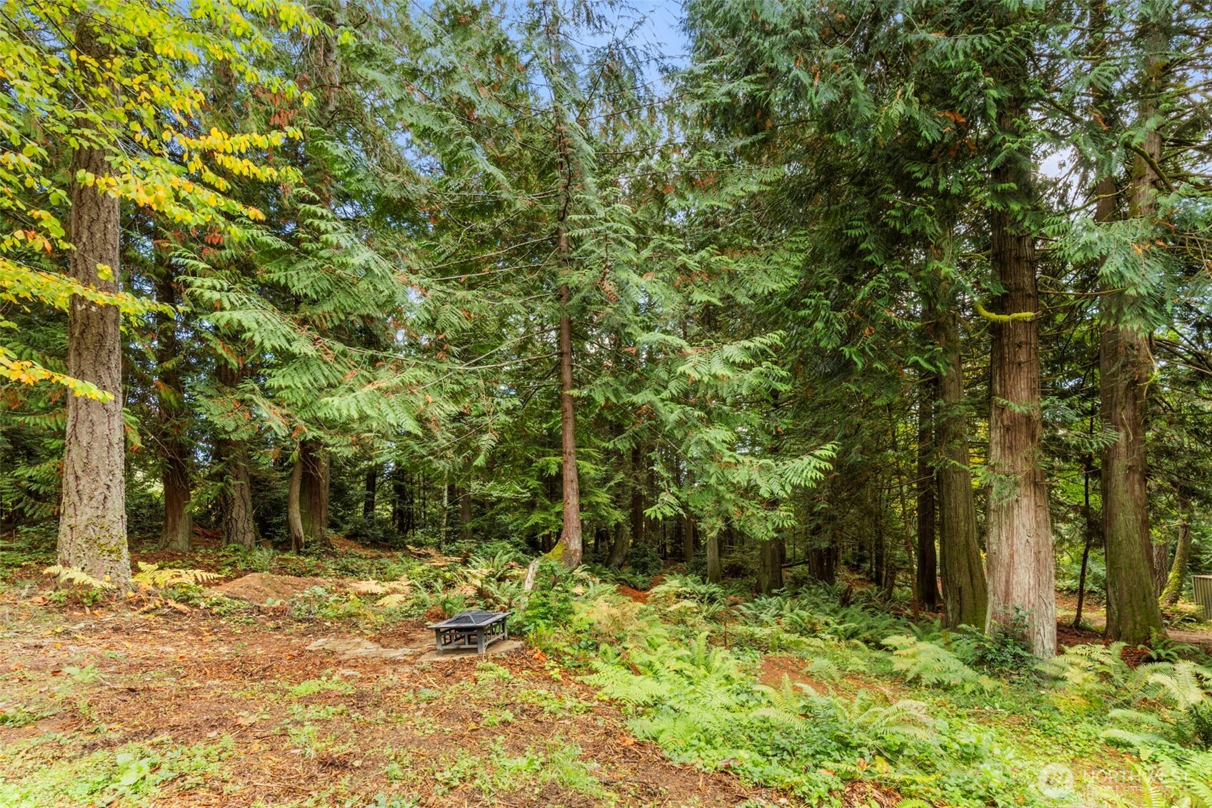 7698 Westerly Lane Northeast Bainbridge Island, WA 98110 - Photo 17 of 28 a view of a house with a tree