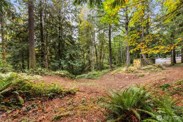 a view of road and trees