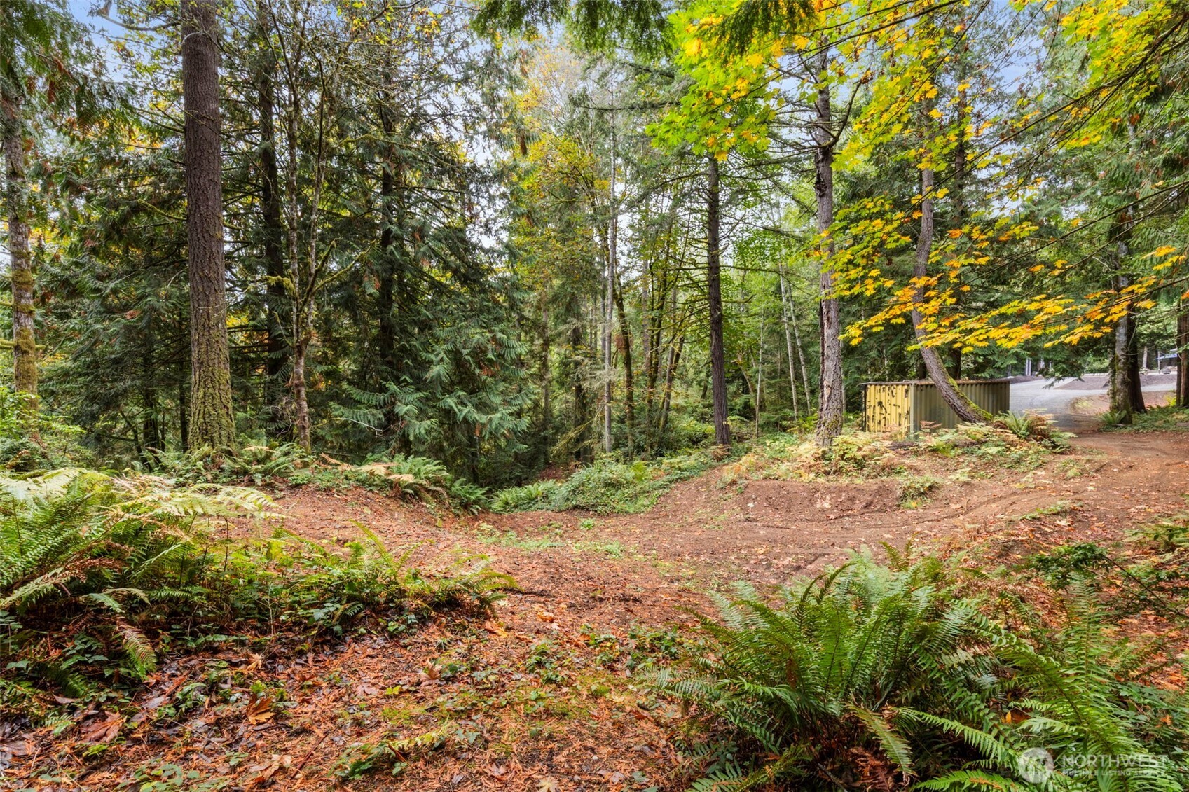 7698 Westerly Lane Northeast Bainbridge Island, WA 98110 - Photo 20 of 28 a view of road and trees