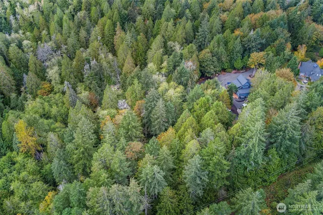 an aerial view of residential house with outdoor space and trees all around