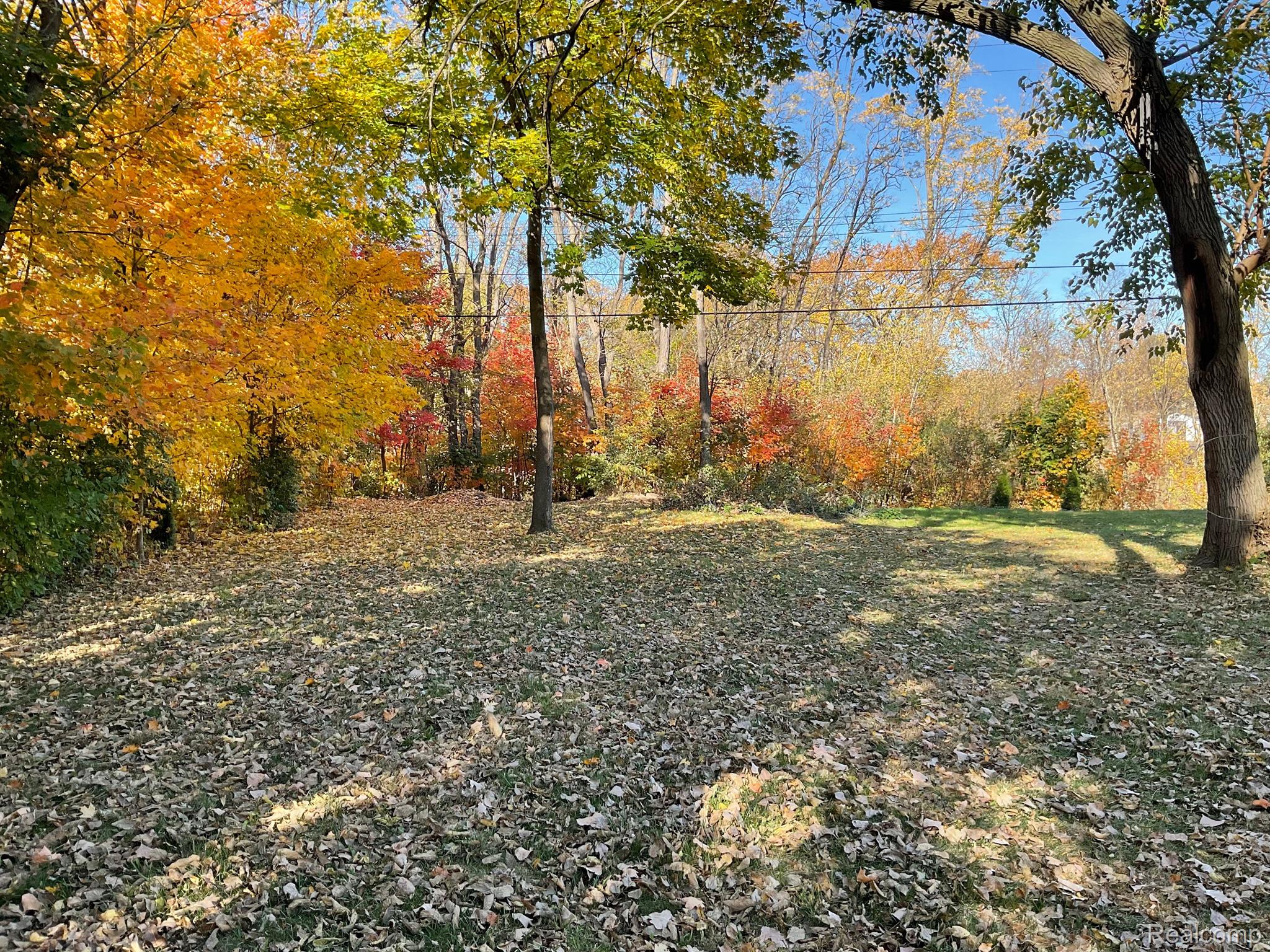 47090 Denton Road Belleville, MI 48111 - Photo 4 of 40 Gallery Image 4