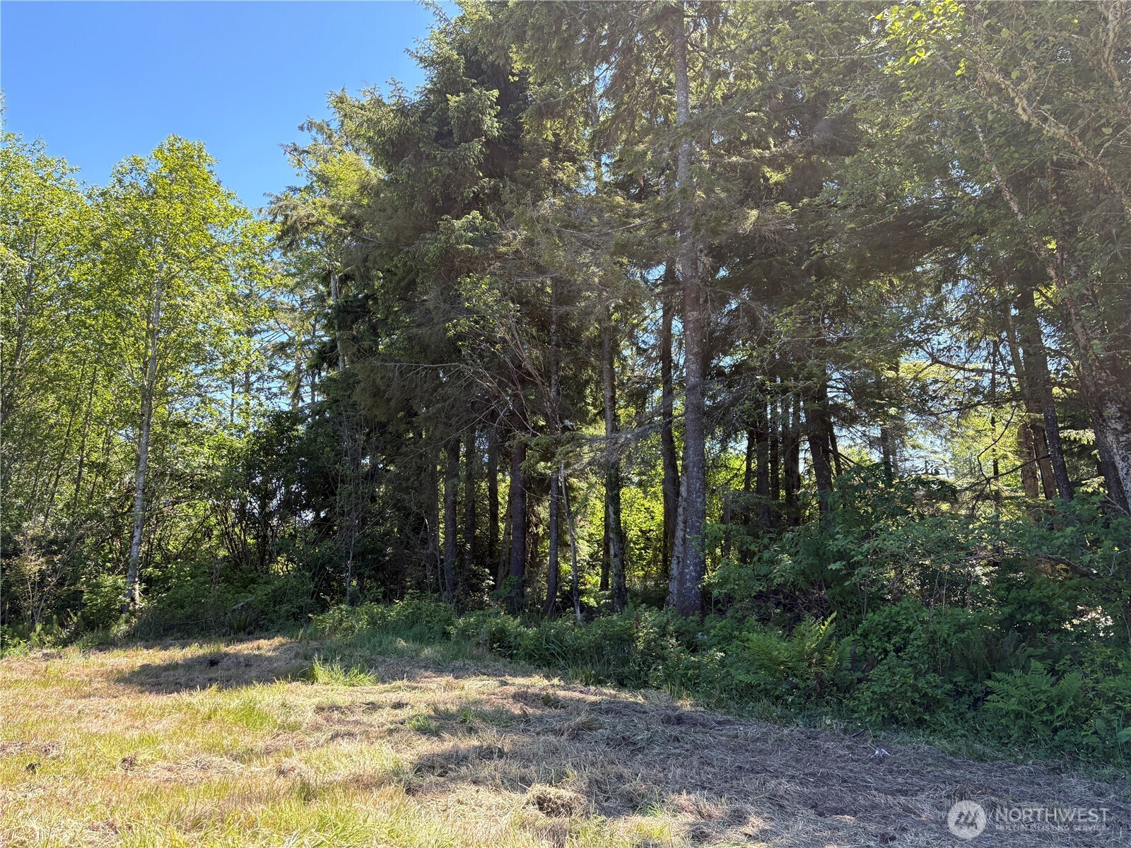 125 Damon Road Hoquiam, WA 98550 - Photo 20 of 25