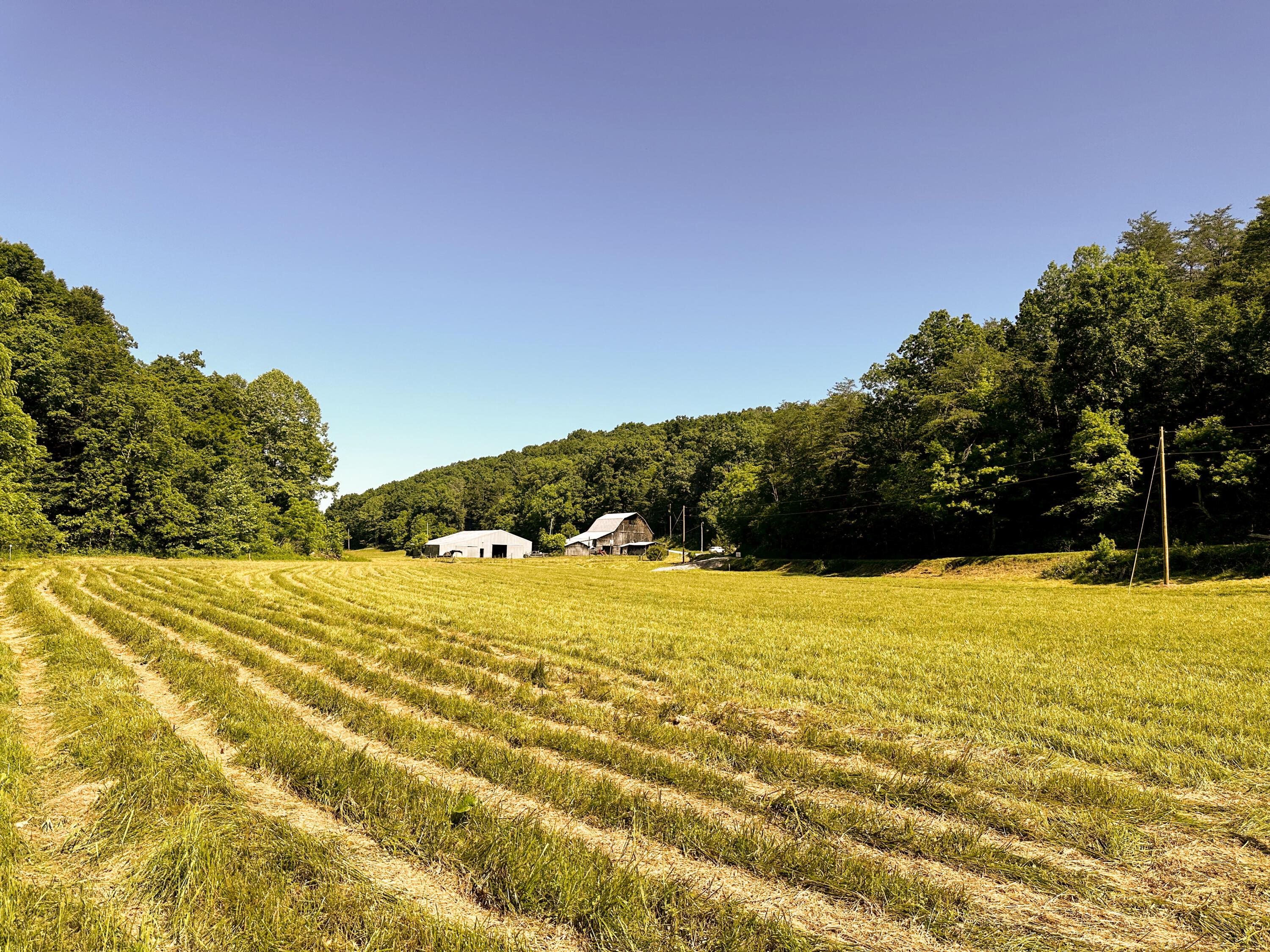 1725 Hull Road, Unit TRACT 4 WOODS WAYNE FOREST) Patriot, OH 45658 - Photo 14 of 45 20240607_142102300_iOS