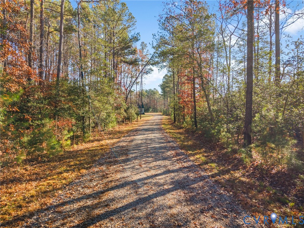 4225 Hall Farm Road Prince George, VA 23875 - Photo 6 of 50 Gallery Image 6