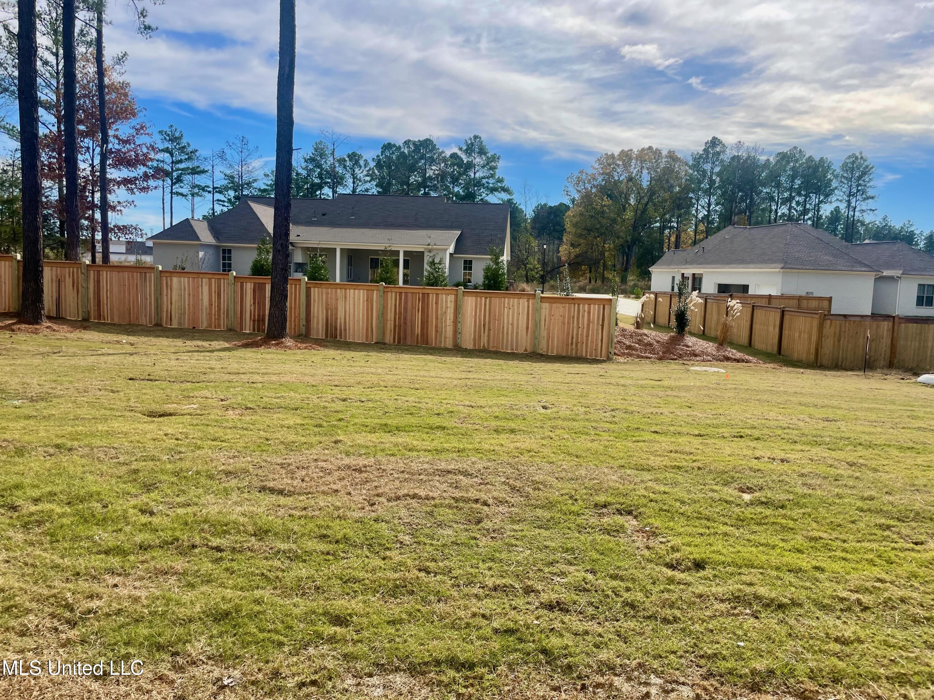 388 Wellstone Place Madison, MS 39110 - Photo 37 of 41 lot 296 - 388 Wellstone - 36 of 41