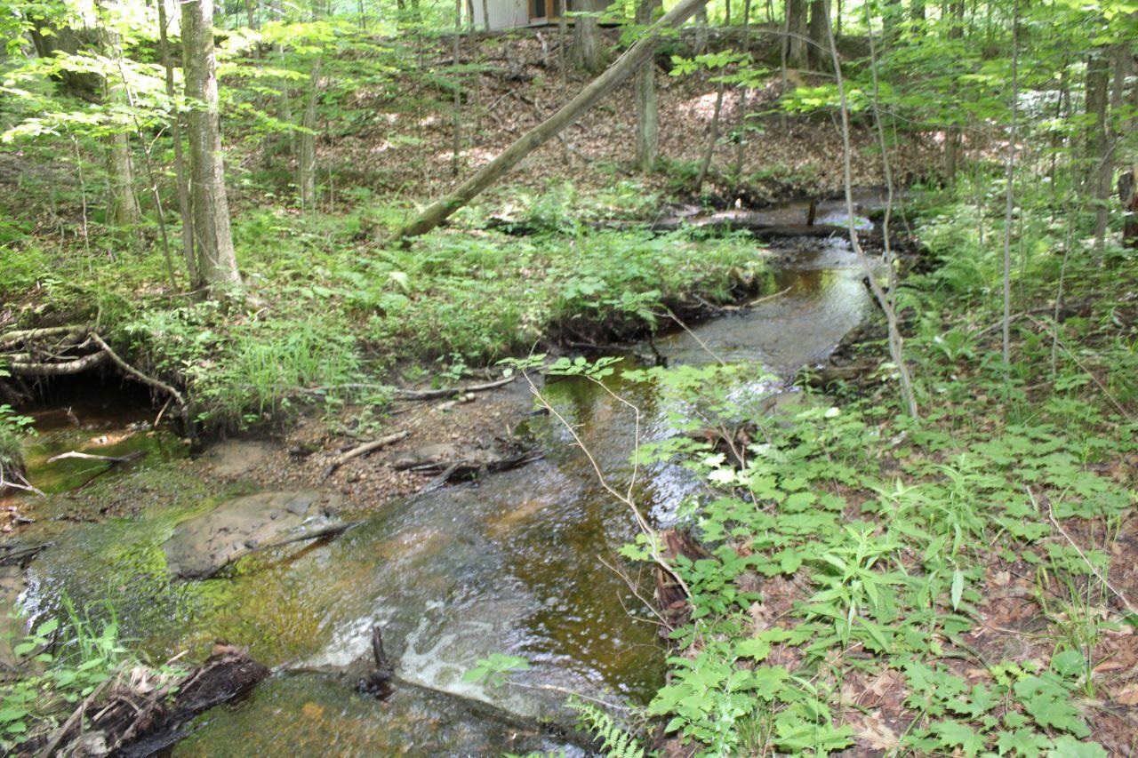 2750 Apple Creek Road Kalkaska, MI 49646 - Photo 2 of 24