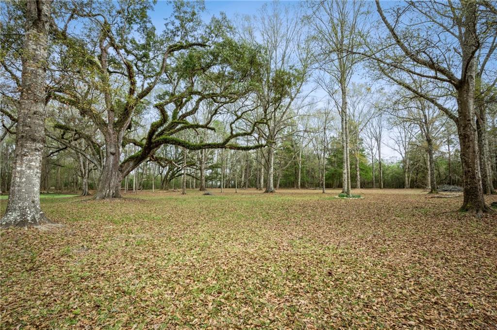 80022 Watt Thomas Road Bush, LA 70431 - Photo 11 of 17