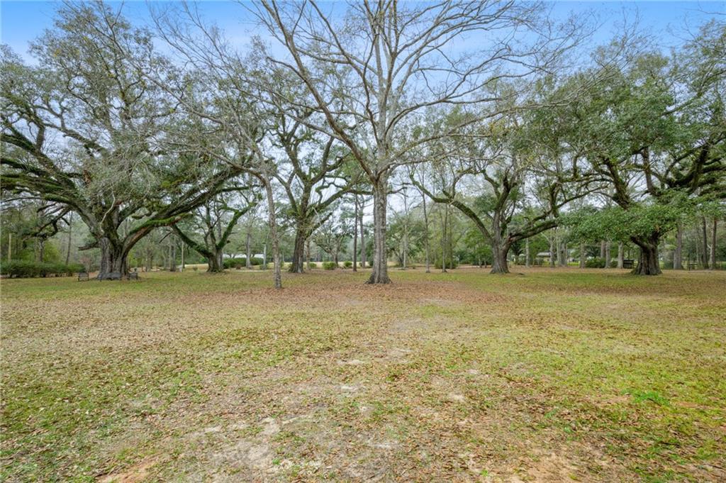 80022 Watt Thomas Road Bush, LA 70431 - Photo 8 of 17