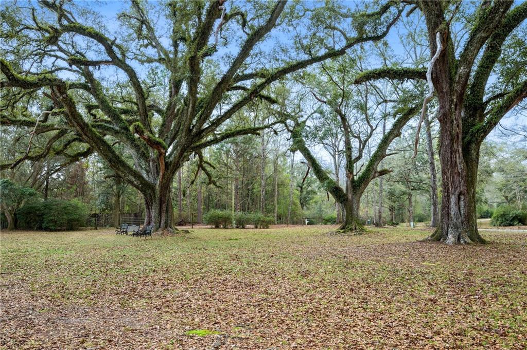 80022 Watt Thomas Road Bush, LA 70431 - Photo 9 of 17