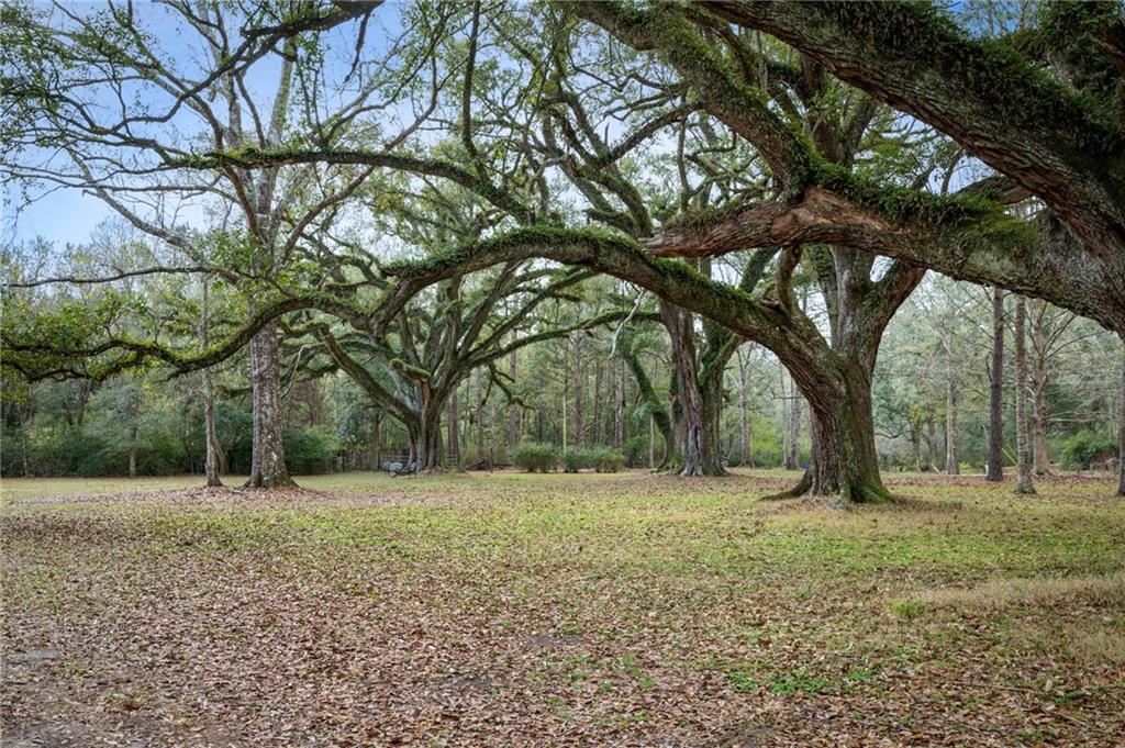 80022 Watt Thomas Road Bush, LA 70431 - Photo 10 of 17