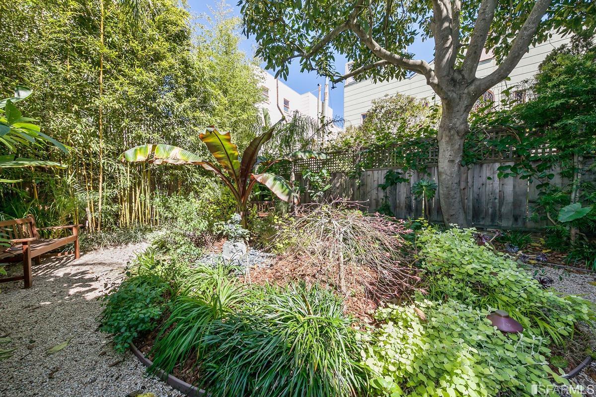 Frederick Street San Francisco, CA 94117 - Photo 55 of 61 a backyard of a house with lots of green space