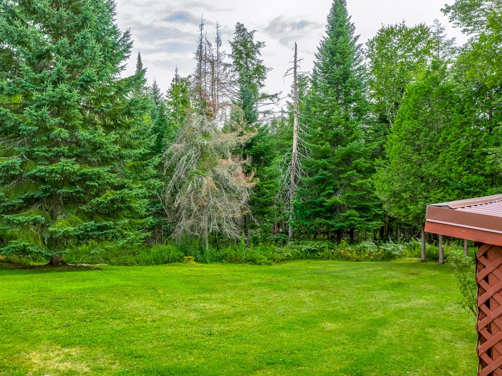 1371 Tupper Road Long Lake, NY 12847 - Photo 3 of 52 Gallery Image 3