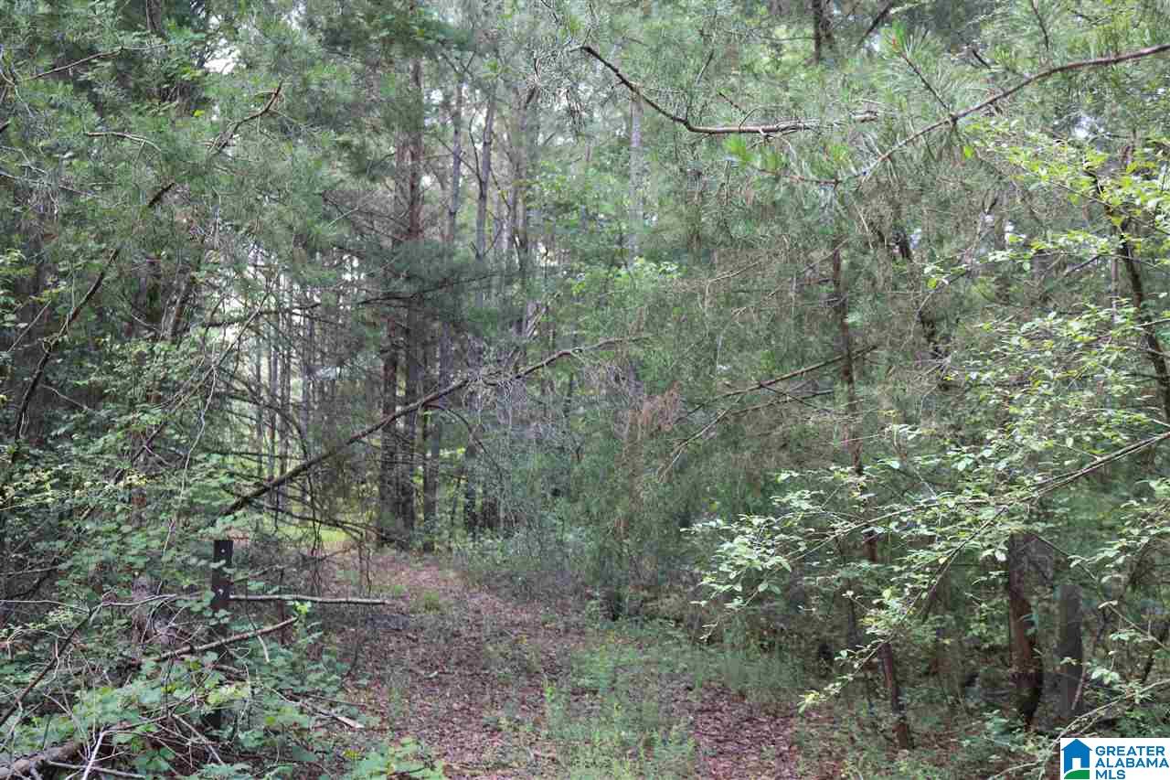 1121 Dry Valley Road, Unit 1 Lincoln, AL 35096 - Photo 2 of 7