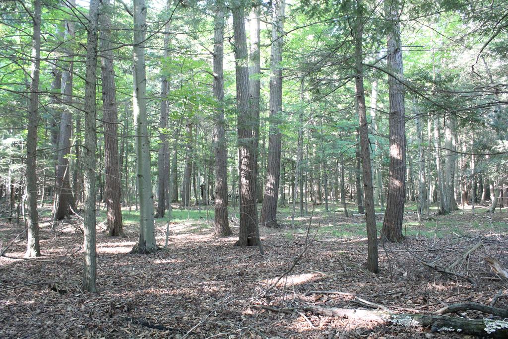 Lot 2 Gibraltar Road Fish Creek, WI 54212 - Photo 9 of 12