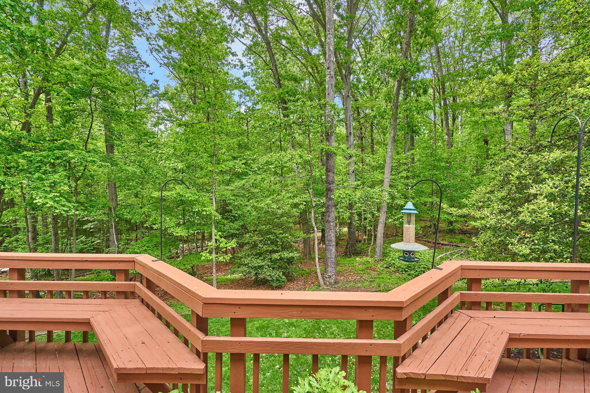 11406 Fieldstone Lane Reston, VA 20191 - Photo 17 of 58 Stunning View