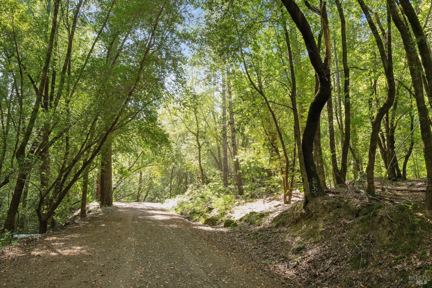 1311 West Dry Creek Road Healdsburg, CA 95448 - Photo 46 of 51