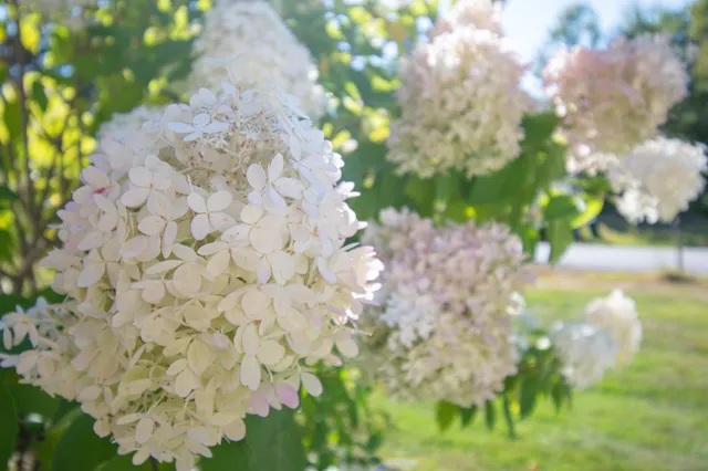 $699,900 | 55 Sand Hill Drive, Durham, ME 04222