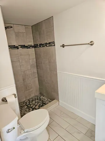 a bathroom with a shower and a toilet
